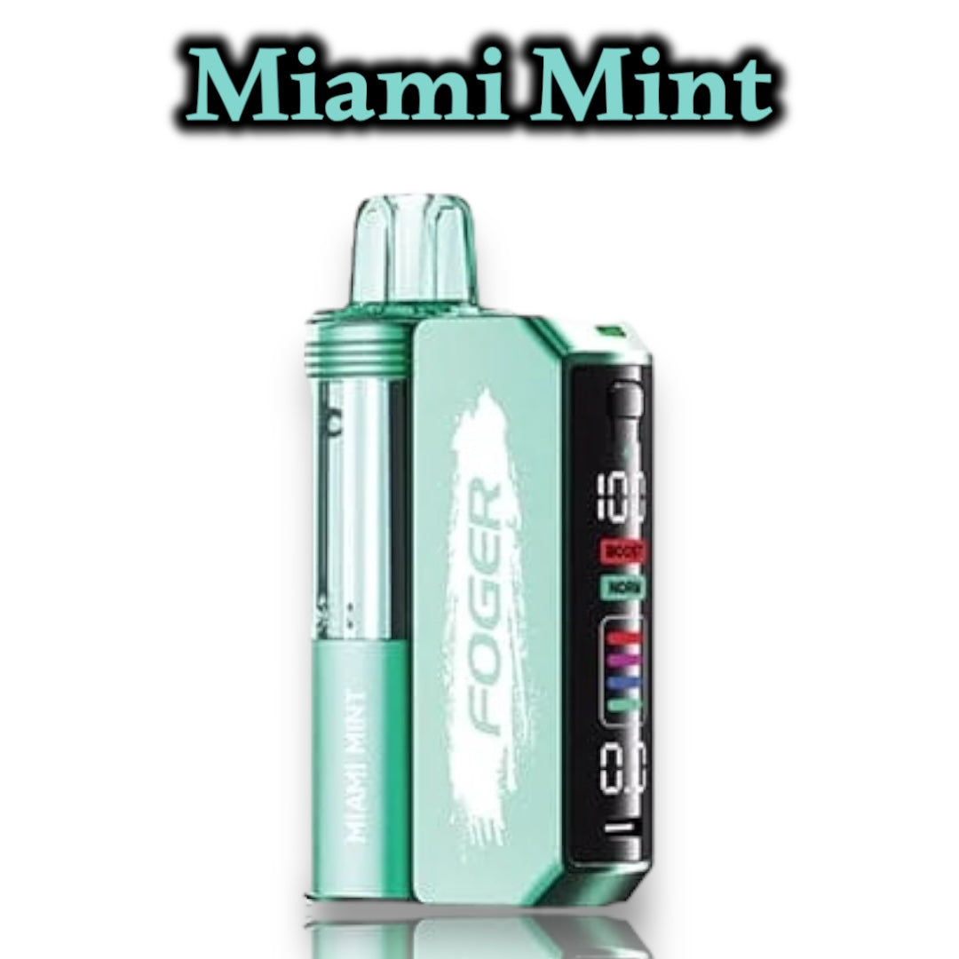 Foger - Switch Pro Kit - Disposable Vape 30,000 Puffs